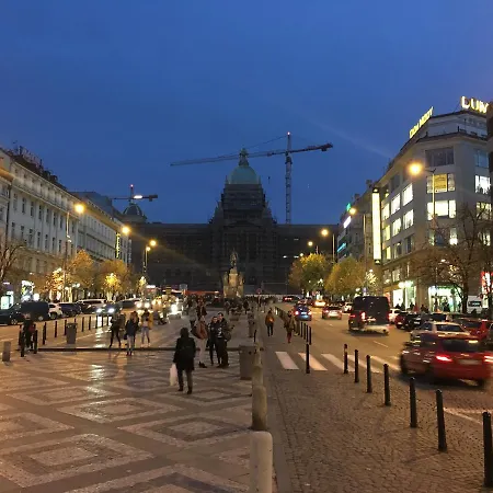 Appartement Opletalka *